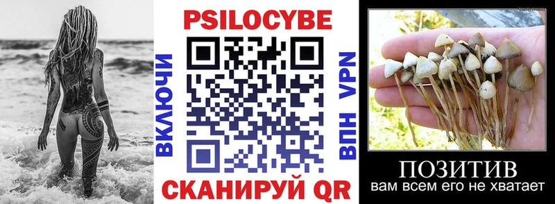 купить наркотик  маркетплейс какой сайт  Псилоцибиновые грибы Magic Shrooms  Сорочинск 